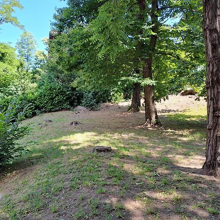 Villetta Singola Con Giardino Cottage Ghisallo Zona Bellagio Magreglio Εξωτερικό φωτογραφία